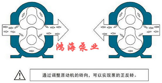 泊頭市鴻海泵業HTLB凸輪轉子泵 / 無堵塞排污泵 / 高粘度轉子泵